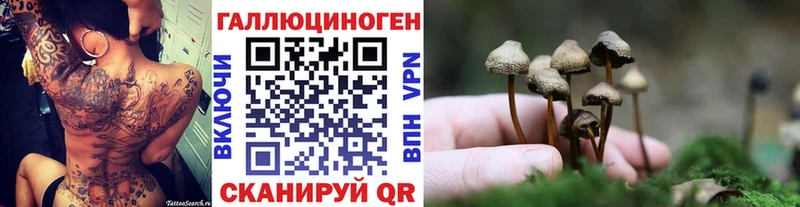 гидра   цена   Курган  Галлюциногенные грибы ЛСД 