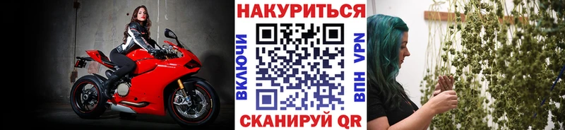 Шишки марихуана индика  наркота  Курган 